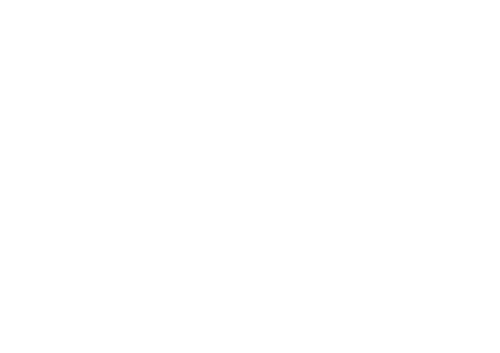 Logo Light
